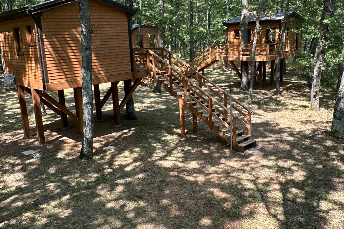 Quattro case sugli alberi con scale e verande nel bosco