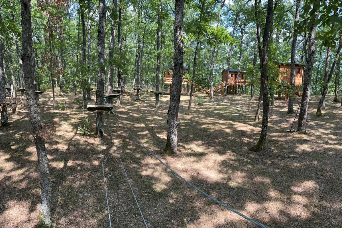 Parco avventura tra gli alberi con cavi e pedane